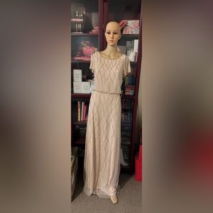 Adrianna Papell gown